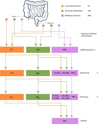 Assessment of Inter-Laboratory Variation in the Characterization and Analysis of the Mucosal Microbiota in Crohn’s Disease and Ulcerative Colitis